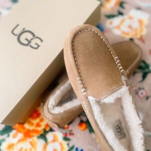 UGG Beige Suede Shoes